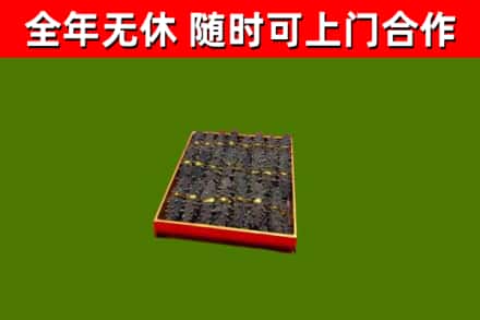 昌邑回收海参